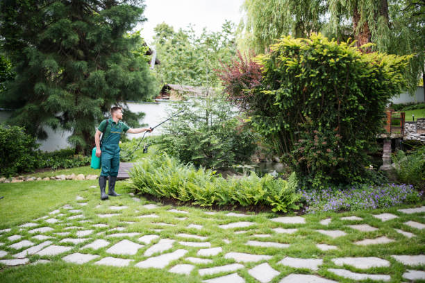 Professional Pest Control in Rock Rapids, IA
