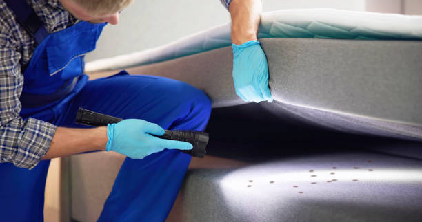 Best Pest Removal Services  in Rock Rapids, IA