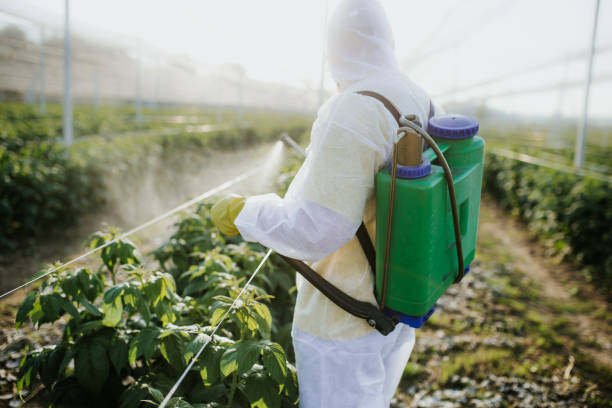 Pest Prevention Services in Rock Rapids, IA